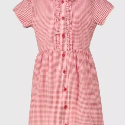 Red Generous Fit Gingham Plus Fit School Dress 5 Years