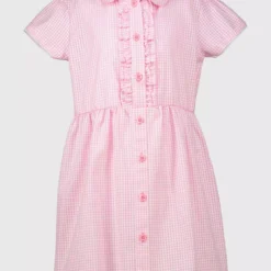 Pink Generous Fit Gingham Plus Fit School Dress 3 Years