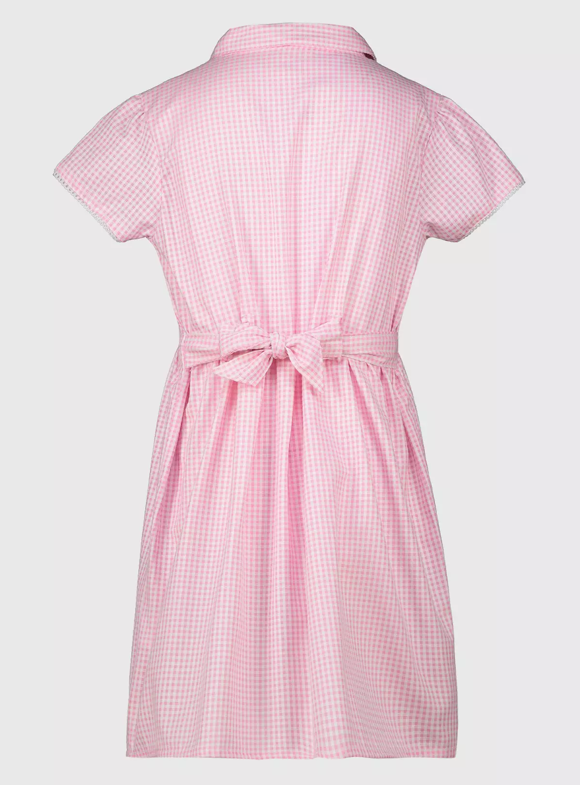 Pink Generous Fit Gingham Plus Fit School Dress 3 Years 4 Pink Generous Fit Gingham Plus Fit School Dress 3 Years - Image 2