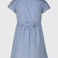 Blue Classic Gingham Dress 2 Pack 7 Years